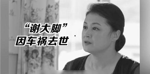 我在娱乐圈吃瓜的日子,揭秘幕后风云与明星私生活
