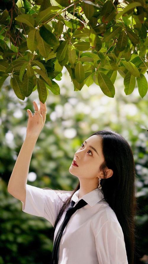 娱乐圈9条吃瓜爆料视频