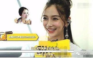 娱乐圈摆烂吃瓜小说推荐