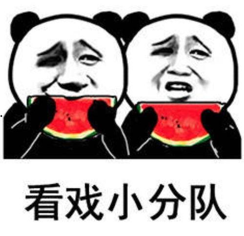 发吃瓜表情包怎么回复