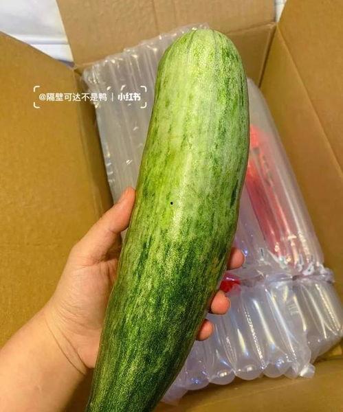 吃瓜娱乐轻量版,跟随吃瓜娱乐轻量版畅游娱乐圈