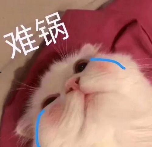 表情包里吃瓜的表情是什么意思,揭秘网络社交中的“围观”文化