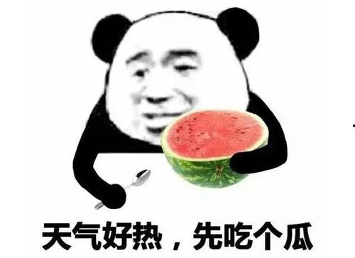 表情包里吃瓜的表情是什么意思,揭秘网络社交中的“围观”文化